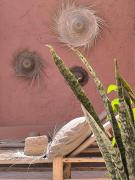 Riad Medina Whisper