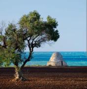Top Torre Canne