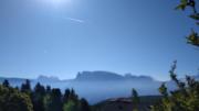 Top Longostagno