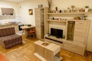 Apartment Vas Raj