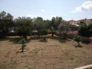 Top Sikia