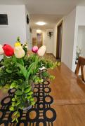 Apartman Djukic Sokobanja 1
