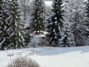 Top Bad Mitterndorf