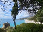 Top Himare
