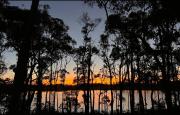Top Cowaramup