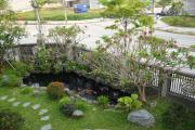Top Thôn Dương Phẩm