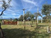Top Santa Rosa del Conlara