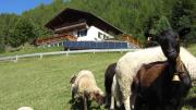 Top Heiligenblut