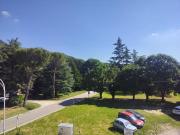 Top Canovello