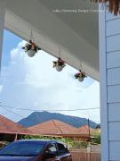 Top Dungun