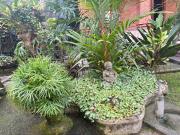 Top Ubud