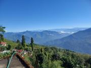 Top Darjeeling