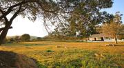 Top Clanwilliam