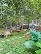 Top Angamali