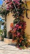 LV Homestay
