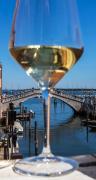 Top Chioggia Top Chioggia