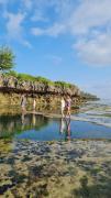 Top Tiwi