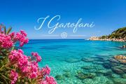 Top Platamona