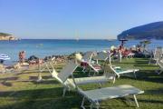 Top Isola Foradada