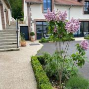 Top Rilly-la-Montagne