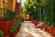Top Amritsar