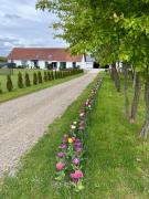Top Billund