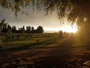 Top San Rafael