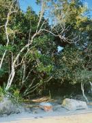 Top Paraty