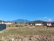 Top Alto Boquete