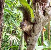 Top Ubatuba