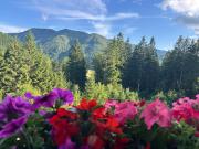 Top Semmering