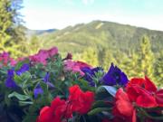 Top Semmering