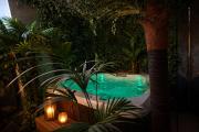 Suite premium Jacuzzi Jungle