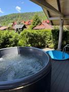 Top Mykulychyn