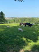 Top Saint-Georges-sur-Baulche