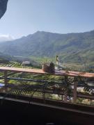 Bamboo Garden Homestay & Coffee