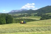 Top Innerschwand am Mondsee