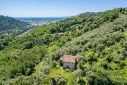 Top Camaiore