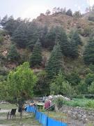 Top Kasol