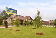 Top Conroe
