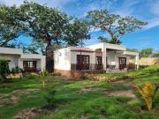 Top Shimoni