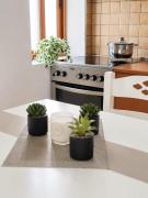 Vangert Apartment