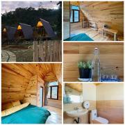 Top Da Lat