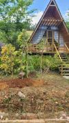 Top Da Lat