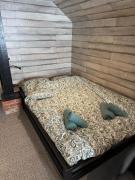 Cozy souterrain near Amsterdam with private bathroom