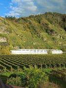 Top Piesport Top Piesport