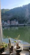 Top Dinant