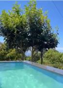 Top Ponta do Pargo