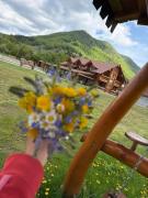 Chalet in Muntii Vrancei