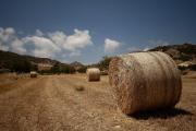 Top Pissouri
